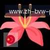 PG电子 logo