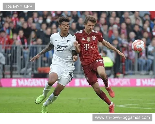 德甲联赛中“混日子”的典型球队 德甲联赛中“混日子”的典型球队