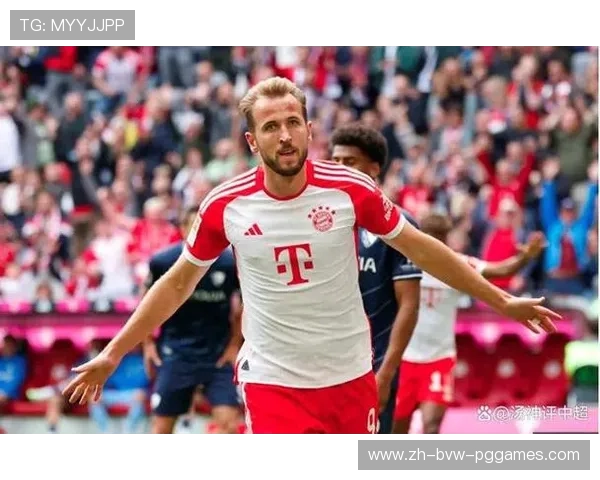 最新德甲球队身价榜单及价值排行解析