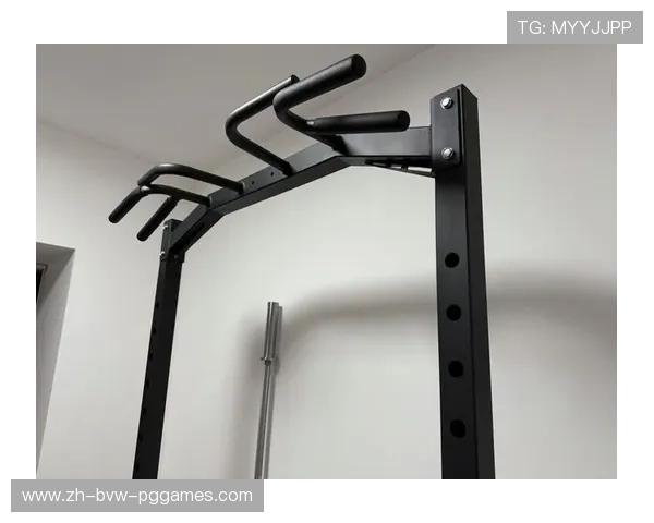 预算与功能平衡:高性价比室内健身器材横向对比 预算与功能平衡:高性价比室内健身器材横向对比